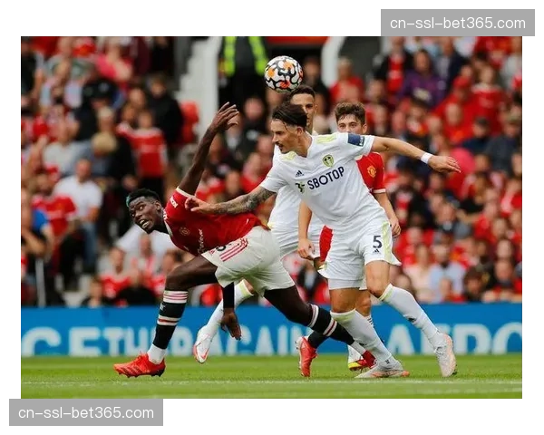 许尔策勒高位压迫结合转换进攻 布莱顿三月豪取9分稳居欧战资格区